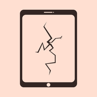 Screen Replacement - iPad Mini 5 (2017)